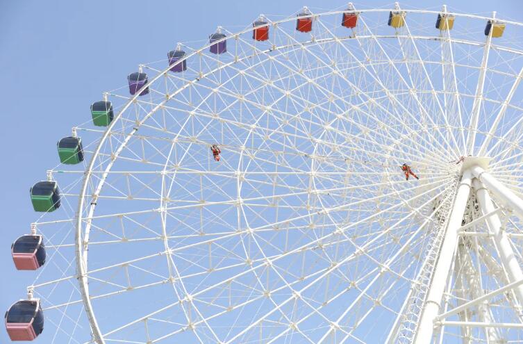 青島海麗雅集團(tuán)